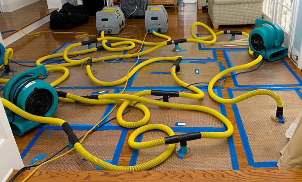 Professional Burst Pipe Water Damage technician working in Rothbury, MI